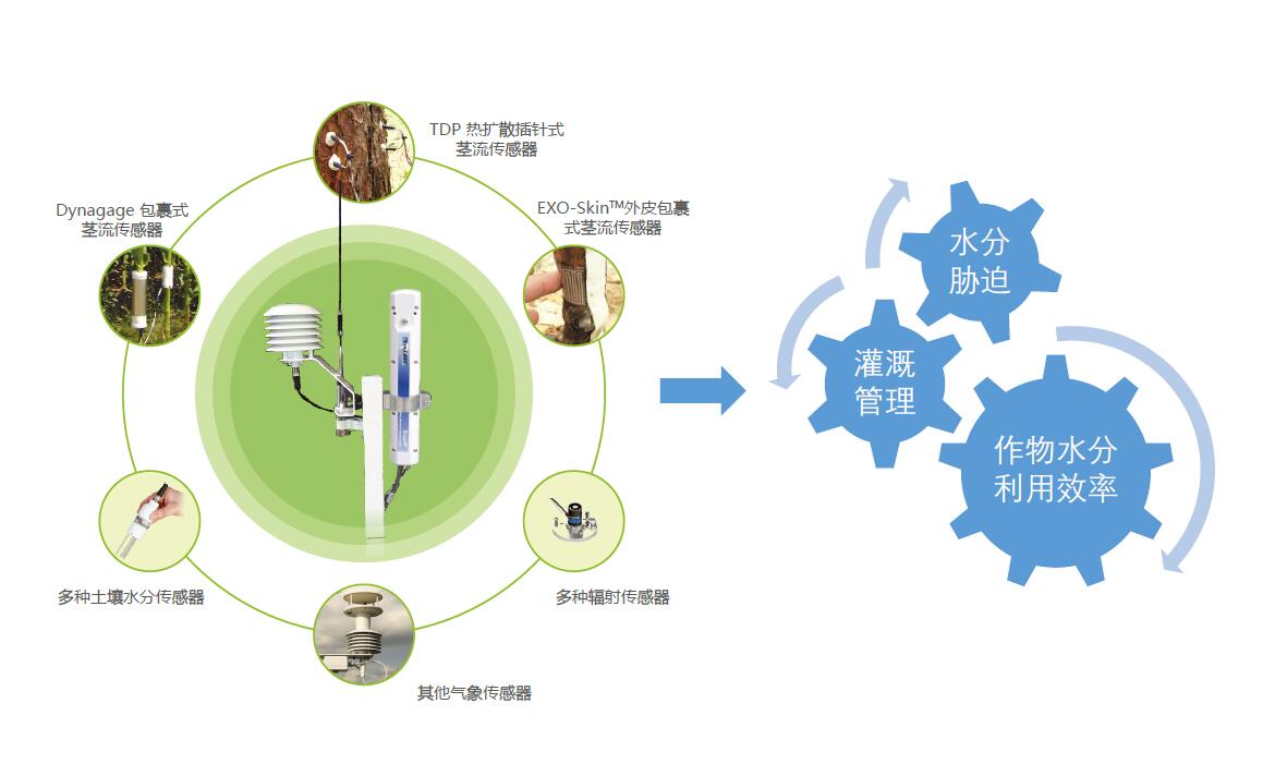 利用SapIP分布式植物生理生態(tài)監(jiān)測系統(tǒng)能做哪些研究？